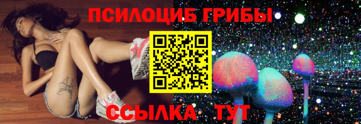 где купить наркотик  Вход с VPN  Шатура  Галлюциногенные грибы ЛСД 
